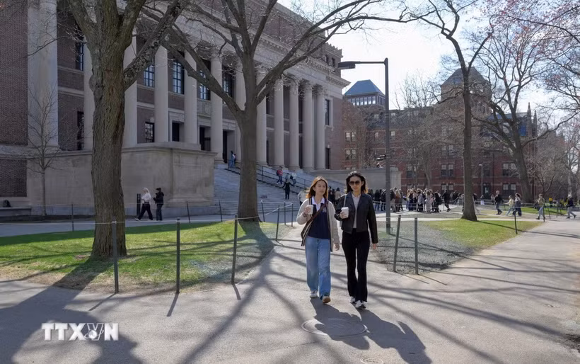 Sinh viên tại Đại học Havard ở Cambridge, Massachusetts (Mỹ). (Ảnh: Reuters/TTXVN)