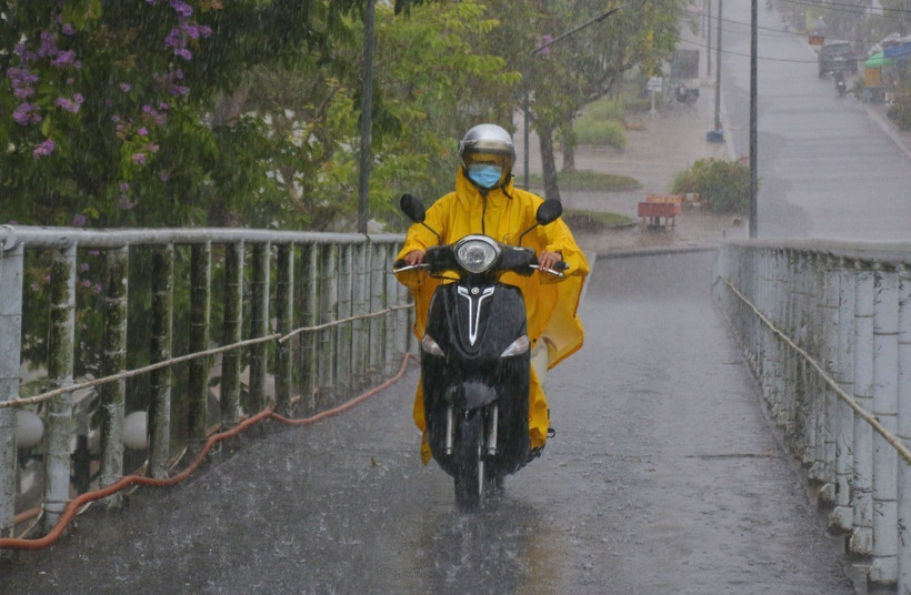 Ảnh minh họa. (Ảnh: Duy Khương/TTXVN)