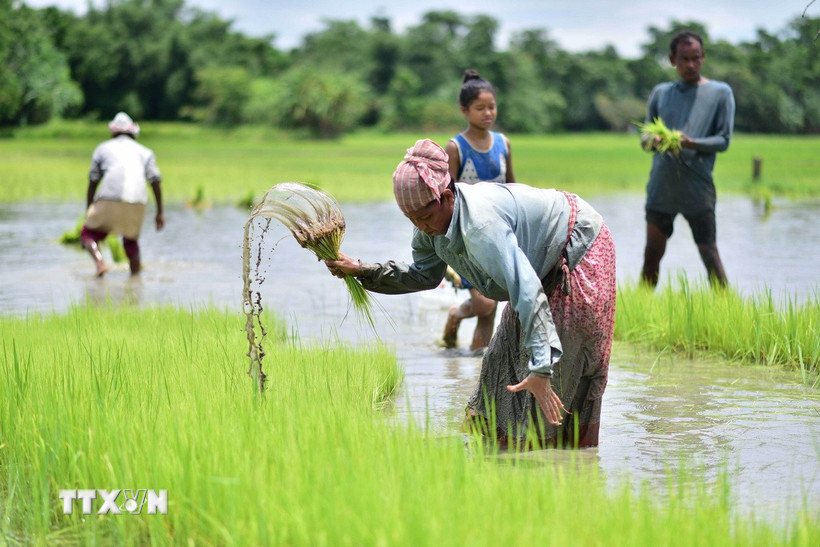 Trung Quốc và Indonesia vừa ký một loạt thỏa thuận hợp tác trong nhiều lĩnh vực trong đó có du lịch, đầu tư và thương mại nông sản. (Ảnh: THX/TTXVN)