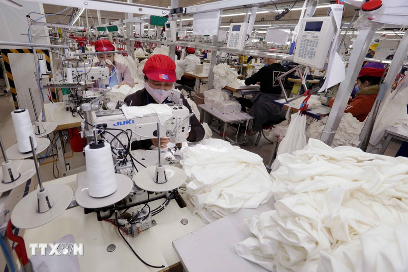 May hàng xuất khẩu tại Công ty may Tinh Lợi (Hải Dương.) (Ảnh: Trần Việt/TTXVN)