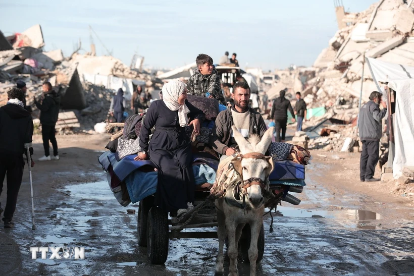 Người dân Palestine sơ tán tránh xung đột tại Gaza. (Ảnh: THX/TTXVN) Người dân Palestine sơ tán tránh xung đột tại Gaza. (Ảnh: THX/TTXVN)