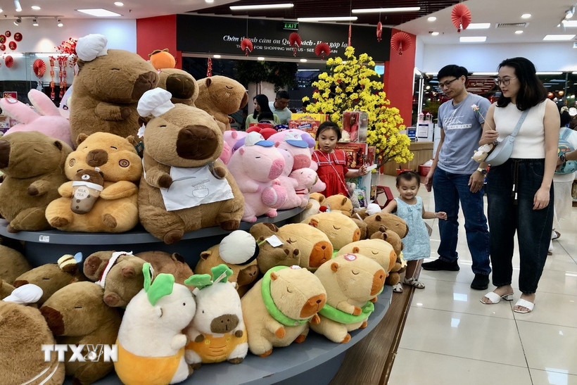 Mua sắm và vui chơi tại trung tâm thương mại ở Thành phố Hồ Chí Minh. (Ảnh: Mỹ Phương/TTXVN)