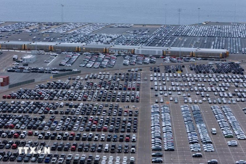 Ôtô chờ xuất khẩu tại cảng ở San Diego, bang California (Mỹ), ngày 26/3/2025. (Ảnh: Reuters/TTXVN)