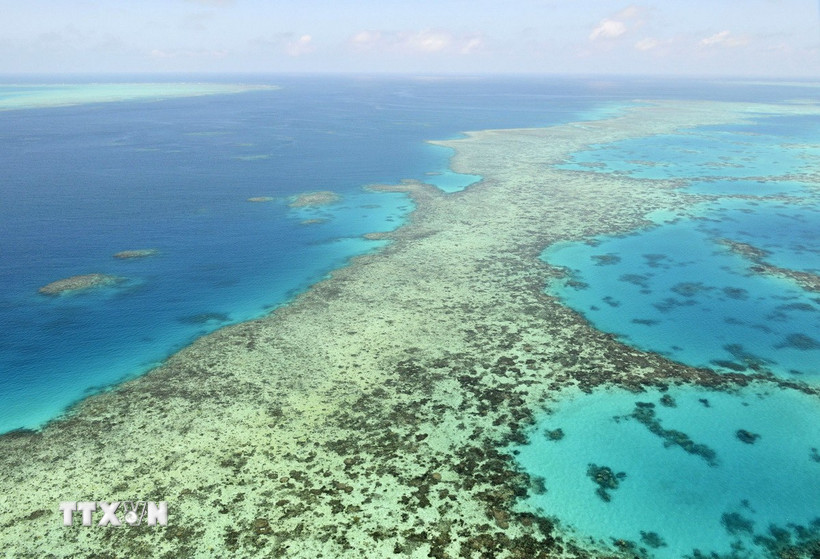 Rạn san hô Great Barrier ở Australia. (Ảnh minh họa: Kyodo/TTXVN)