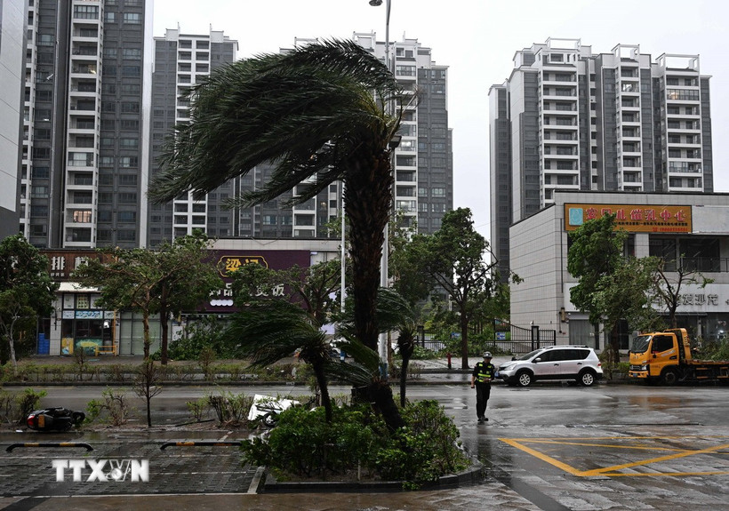 Gió lớn khi bão Ragasa đổ bộ, tại thành phố Dương Giang, tỉnh Quảng Đông (Trung Quốc), ngày 24/9/2025. (Ảnh: THX/TTXVN)