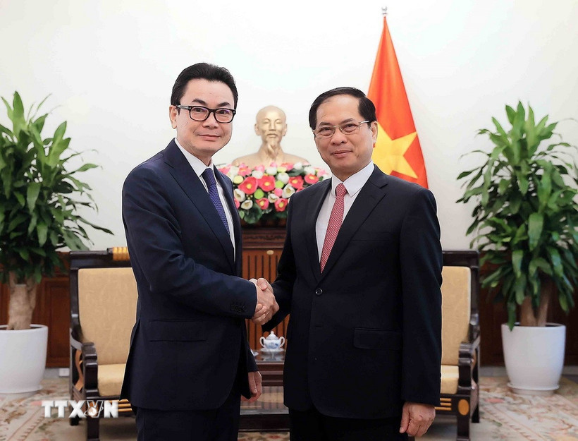 Phó Thủ tướng-Bộ trưởng Bộ Ngoại giao Bùi Thanh Sơn tiếp Quốc Vụ khanh Bộ Ngoại giao và Hợp tác Quốc tế Vương quốc Campuchia Ung Rachana. (Ảnh: An Đăng/TTXVN)