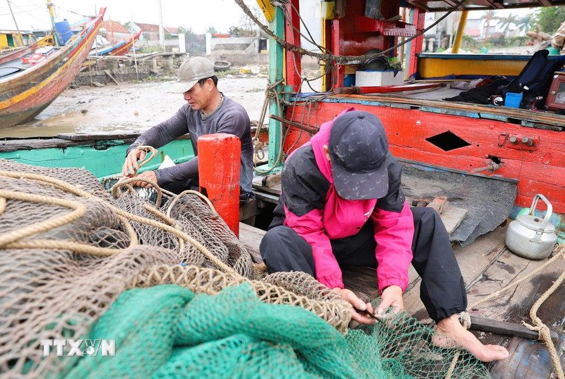 Ngư dân sửa sang, vá lưới chuẩn bị cho chuyến đi biển. (Ảnh: Xuân Tiến/TTXVN)