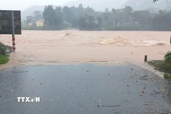 Nhiều ngầm tràn tại Quảng Trị bị ngập sâu trong nước. (Ảnh: TTXVN phát)