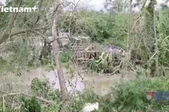 Siêu bão dồn dập năm 2025 và cảnh báo khẩn về nhu cầu “lá chắn” khí hậu