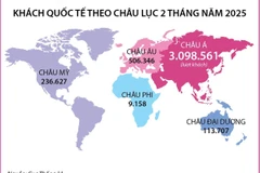 2 tháng năm 2025: Khách quốc tế đến Việt Nam tăng hơn 30% 