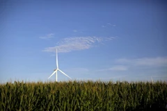 Một tuabin gió trên cánh đồng ngô ở Haverhill, Iowa, Mỹ. (Nguồn: Reuters)