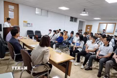 Tư vấn nâng cao kiến thức pháp luật cho lao động Việt Nam tại Hàn Quốc. (Ảnh: Đức Thắng/TTXVN)