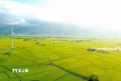 Cánh đồng điện gió Đầm Nại, xã Thuận Bắc, Xuân Hải và Ninh Hải, tỉnh Khánh Hòa. (Ảnh: Nguyễn Thành/TTXVN)