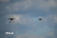 Ảnh minh họa. (Ảnh: PAP/TTXVN)