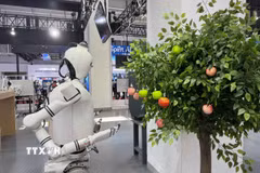 Robot giúp thu hoạch hoa quả được trưng bày tại Hội nghị Robot thế giới 2025 thúc đẩy phát triển công nghiệp robot, Bắc Kinh, Trung Quốc. (Ảnh: Công Tuyên/TTXVN)
