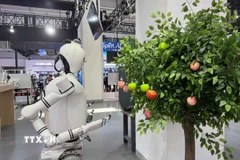 Robot giúp thu hoạch hoa quả được trưng bày tại Hội nghị Robot thế giới 2025 thúc đẩy phát triển công nghiệp robot, Bắc Kinh, Trung Quốc. (Ảnh: Công Tuyên/TTXVN)