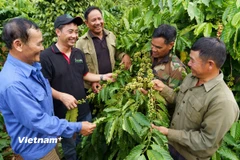 Nestlé đồng hành cùng hàng triệu người lao động Việt Nam.