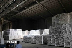 Gạo chuẩn bị xuất cấp hỗ trợ nhân dân trong dịp Tết Nguyên đán Bính Ngọ và giáp hạt đầu năm 2026. (Ảnh: Phạm Hậu/TTXVN)
