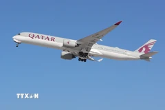 Máy bay của Hãng hàng không Qatar Airways. (Ảnh: AFP/TTXVN)