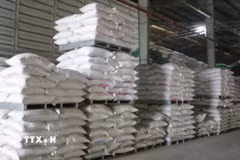 Chính phủ thông qua nội dung dự án Luật Dự trữ quốc gia (sửa đổi). (Ảnh: Thanh Bình/TTXVN)