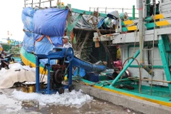 Ngư dân xã Bình Châu chuyển đá lên tàu cá để chuẩn bị xuất bến, ra khơi đầu năm sáng 25/2/2026 (mồng 9 Tết). (Ảnh: Hoàng Nhị/TTXVN)