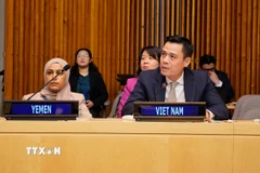 Đại sứ Đặng Hoàng Giang phát biểu tại phiên đối thoại. (Ảnh: Hoài Thanh/TTXVN)