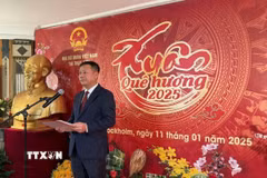 Đại sứ Đặc mệnh toàn quyền Việt Nam tại Thụy Điển, kiêm nhiệm Latvia Trần Văn Tuấn phát biểu tại sự kiện. (Ảnh: TTXVN phát)