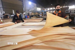 (Ảnh minh họa: Vũ Sinh/TTXVN)