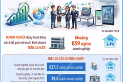 Tổng điều tra kinh tế 2026: Doanh nghiệp tiếp tục là động lực tăng trưởng