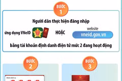 Hướng dẫn 5 bước lấy ý kiến sửa đổi Hiến pháp năm 2013 trên VNeID