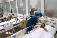 Ảnh minh họa. (Ảnh: Văn Tý/TTXVN)