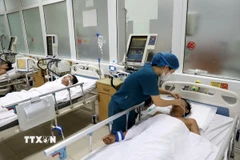 Ảnh minh họa. (Ảnh: Văn Tý/TTXVN)