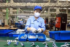 Công nhân làm việc tại Khu công nghiệp Thăng Long 2, tỉnh Hưng Yên. (Ảnh: Tuấn Anh/TTXVN)