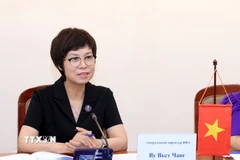 Tổng Giám đốc TTXVN Vũ Việt Trang trao đổi về triển vọng hợp tác về thông tin, truyền thông với Uỷ ban Đối ngoại chính quyền thành phố St. Petersburg. (Ảnh: Tuấn Anh/TTXVN)