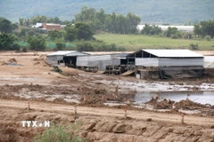 Ảnh minh họa. (Ảnh: Nguyễn Thanh/TTXVN)