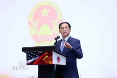 Phó Thủ tướng Bùi Thanh Sơn phát biểu tại hội nghị. (Ảnh: An Đăng/TTXVN)