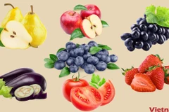 Các loại trái cây giàu flavonoid. (Ảnh: Vietnam+)