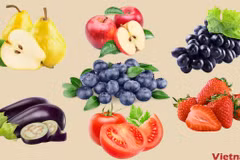 Các loại trái cây giàu flavonoid. (Ảnh: Vietnam+)