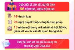 Kỳ họp thứ 10: Xem xét số lượng lập pháp lớn nhất từ đầu nhiệm kỳ