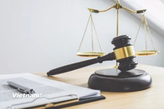 Ảnh minh họa. (Nguồn: Vietnam+)