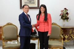 Phó Thủ tướng, Bộ trưởng Ngoại giao Bùi Thanh Sơn hội kiến Bộ trưởng Kế hoạch, Phát triển Kinh tế và Hợp tác Quốc tế Ai Cập Rania A. Al-Mashat. (Ảnh: TTXVN phát)