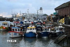 Thuyền đánh cá neo tại cảng ở Scarborough, Anh ngày 4/1/2021. (Ảnh: AFP/TTXVN)
