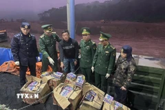Lực lượng chức năng tỉnh Hà Tĩnh bắt giữ đối tượng vận chuyển 180kg pháo hoa lậu. Ảnh minh họa. (Nguồn: TTXVN phát)