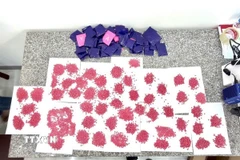 Tang vật của vụ án. (Ảnh: TTXVN phát)