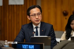Đại sứ Đỗ Hùng Việt, Trưởng Phái đoàn thường trực Việt Nam tại LHQ phát biểu tại phiên họp. (Ảnh: TTXVN phát)