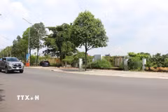 Giá đất ở đô thị Đồng Nai cao nhất là 49,5 triệu đồng/m2. (Ảnh: Công Phong/TTXVN)