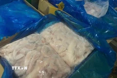 Thực phẩm không rõ nguồn gốc xuât xứ. (Ảnh: Quốc Lũy/TTXVN)