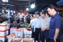Các đại biểu thành viên đoàn giám sát của Hội đồng Nhân dân Thành phố Hồ Chí Minh khảo sát mặt hàng trái cây tại chợ Bình Điền. (Ảnh: Đinh Hằng/TTXVN)