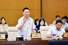 Phó Thủ tướng Chính phủ Hồ Đức Phớc phát biểu. (Ảnh: Doãn Tấn/TTXVN)