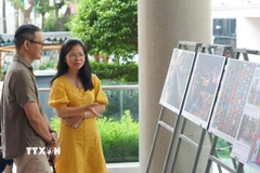 Khách tham quan triển lãm. (Ảnh: TTXVN phát)